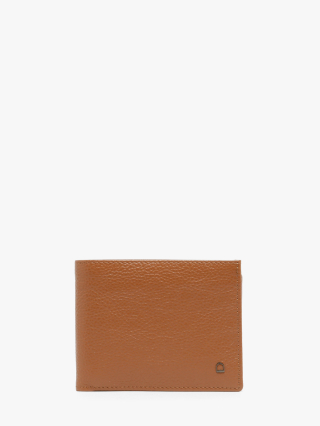 1000006401602 camel