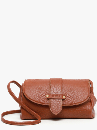 1000007929945 camel