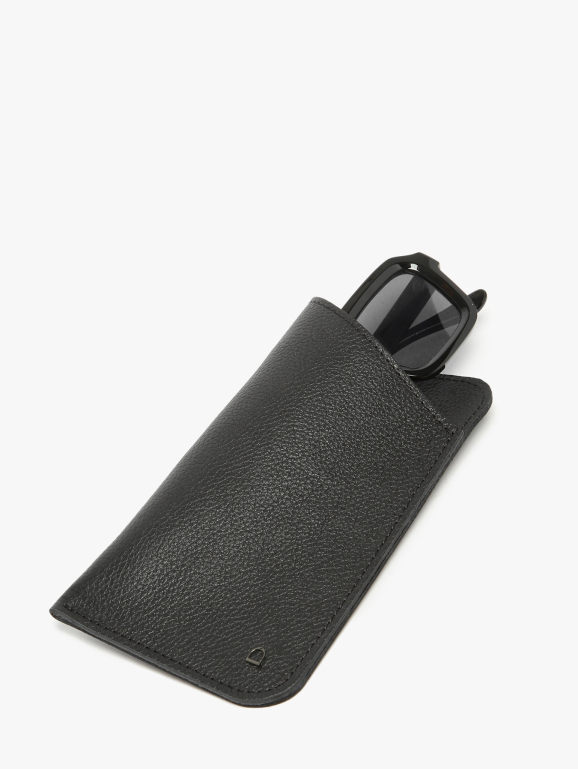 Sunglass case