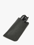 Sunglass case