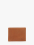 1000007286031 camel