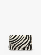 1000008056268 zebre